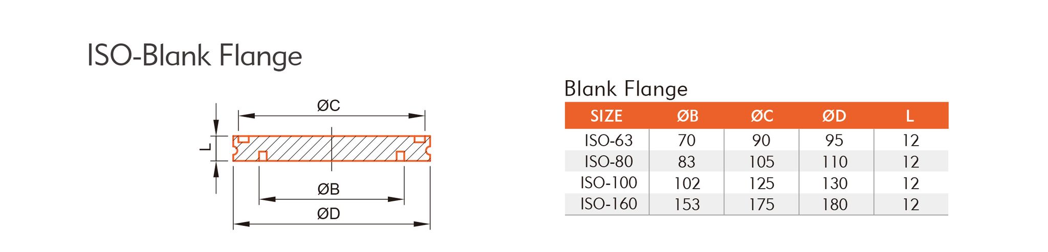 ISO-Blank Flange-1.jpg